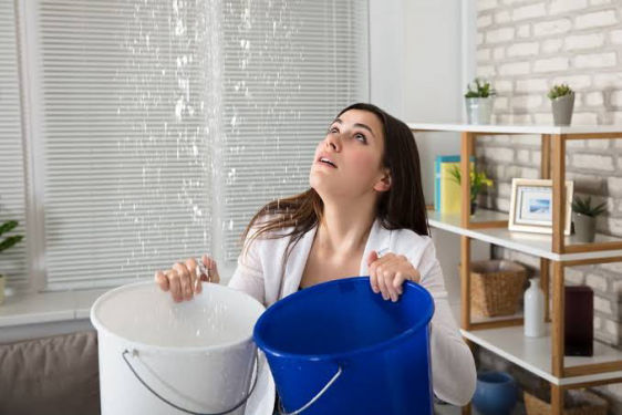 Leak Repairs
